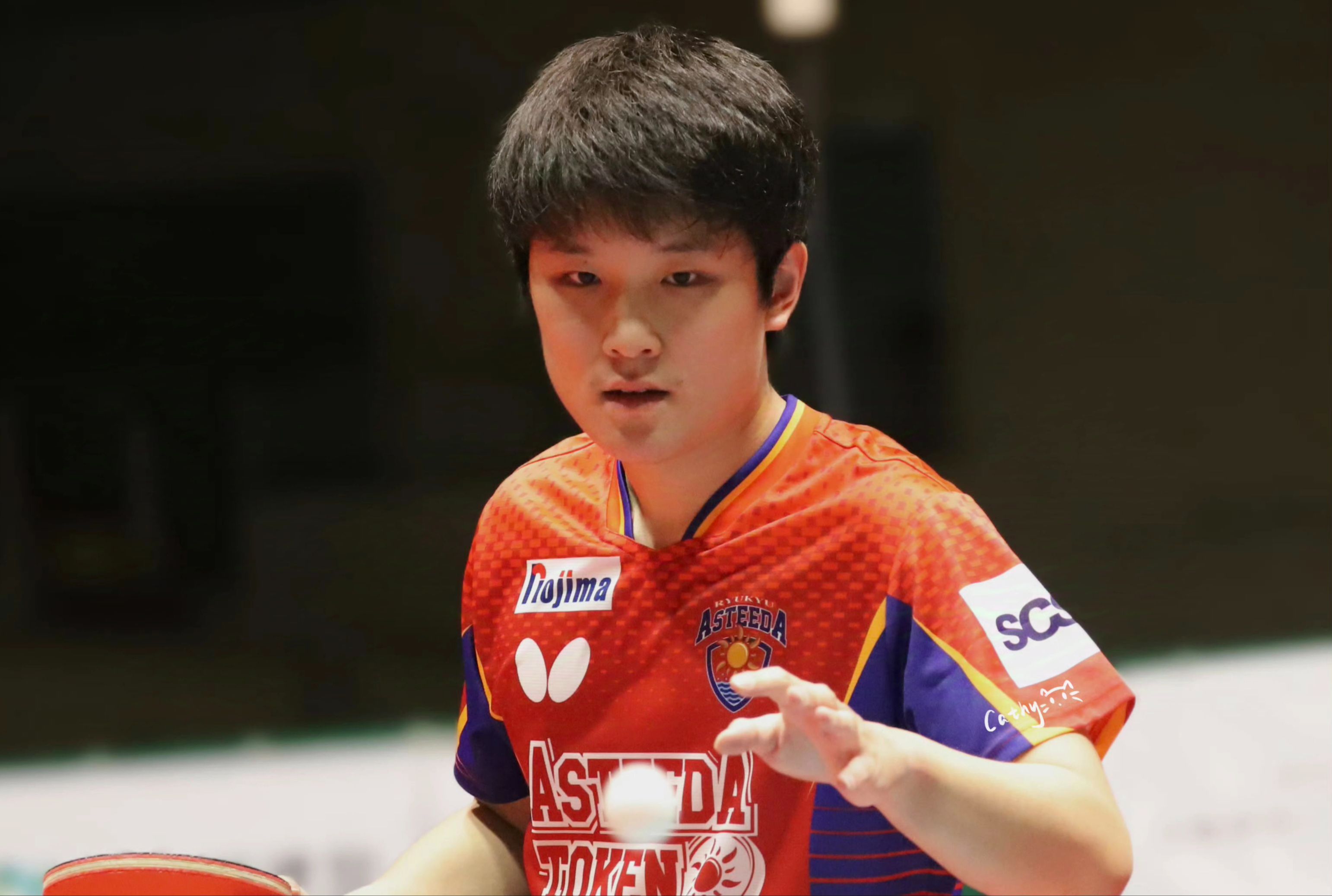 包含德国乒乓球队轻取奥地利乒乓球队，张本智和高光表现的词条