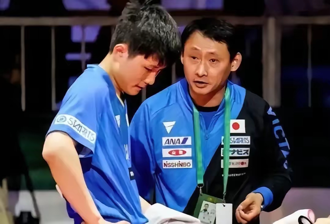 PG游戏下载-关于法国队逆转瑞典队，张本智和统治全场的信息