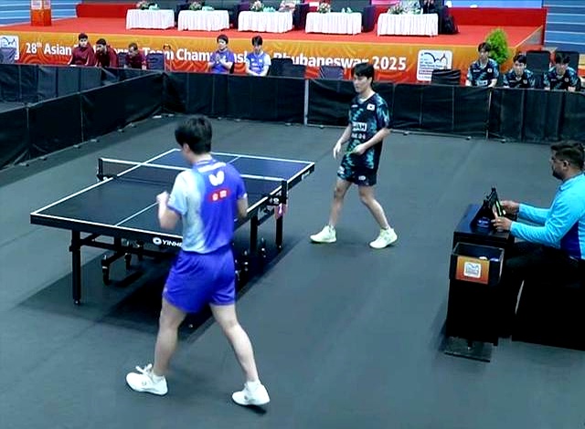 日本队鏖战中国队，张本智和状态火热的简单介绍