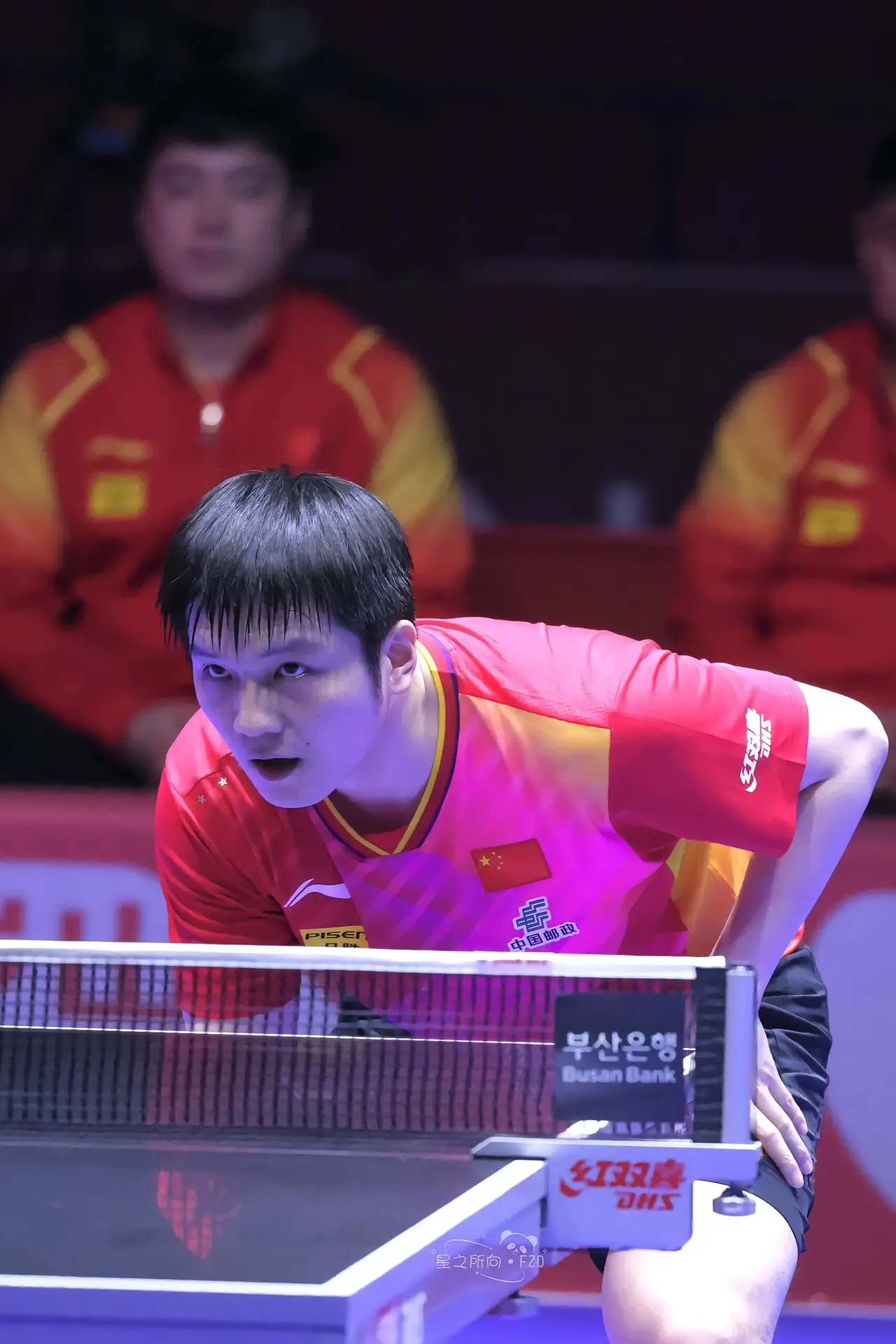 关于英国乒乓球队险胜奥地利乒乓球队，张继科爆发神勇的信息